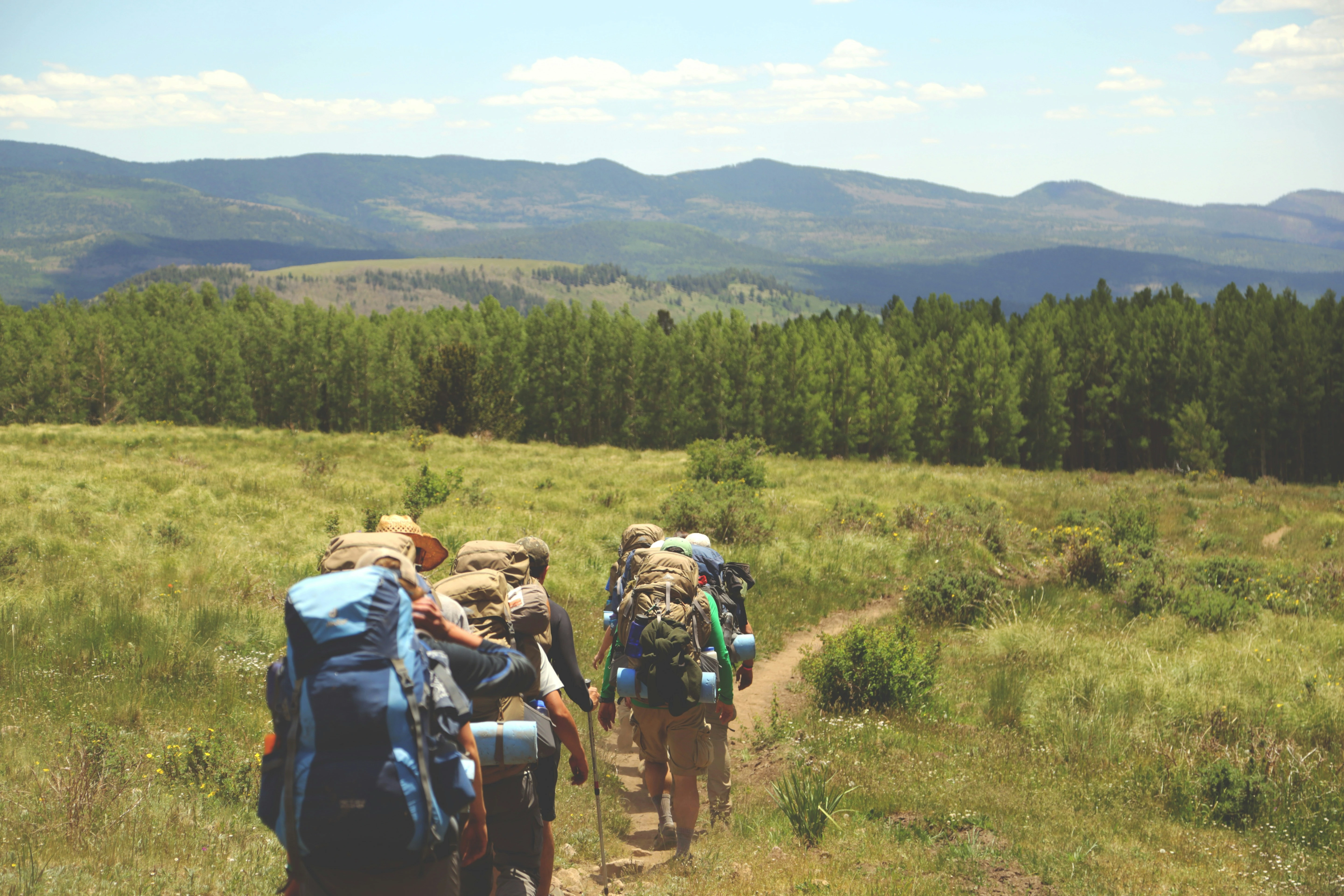 Hill trekking and wild nature tour