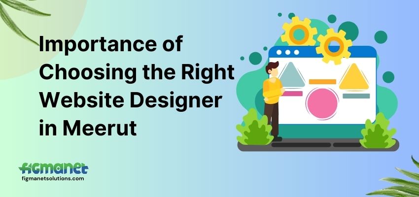 Website Designer in Meerut