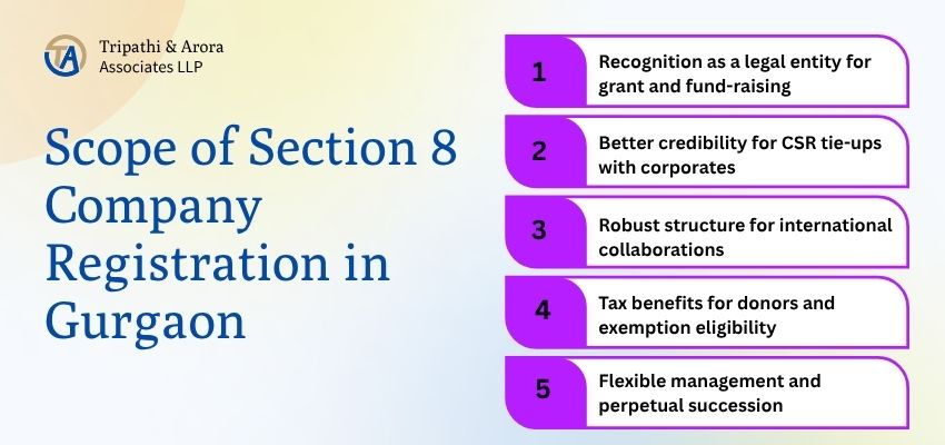 Section8 Company Registration in Gurgaon Section8 Company Registration in Gurgaon